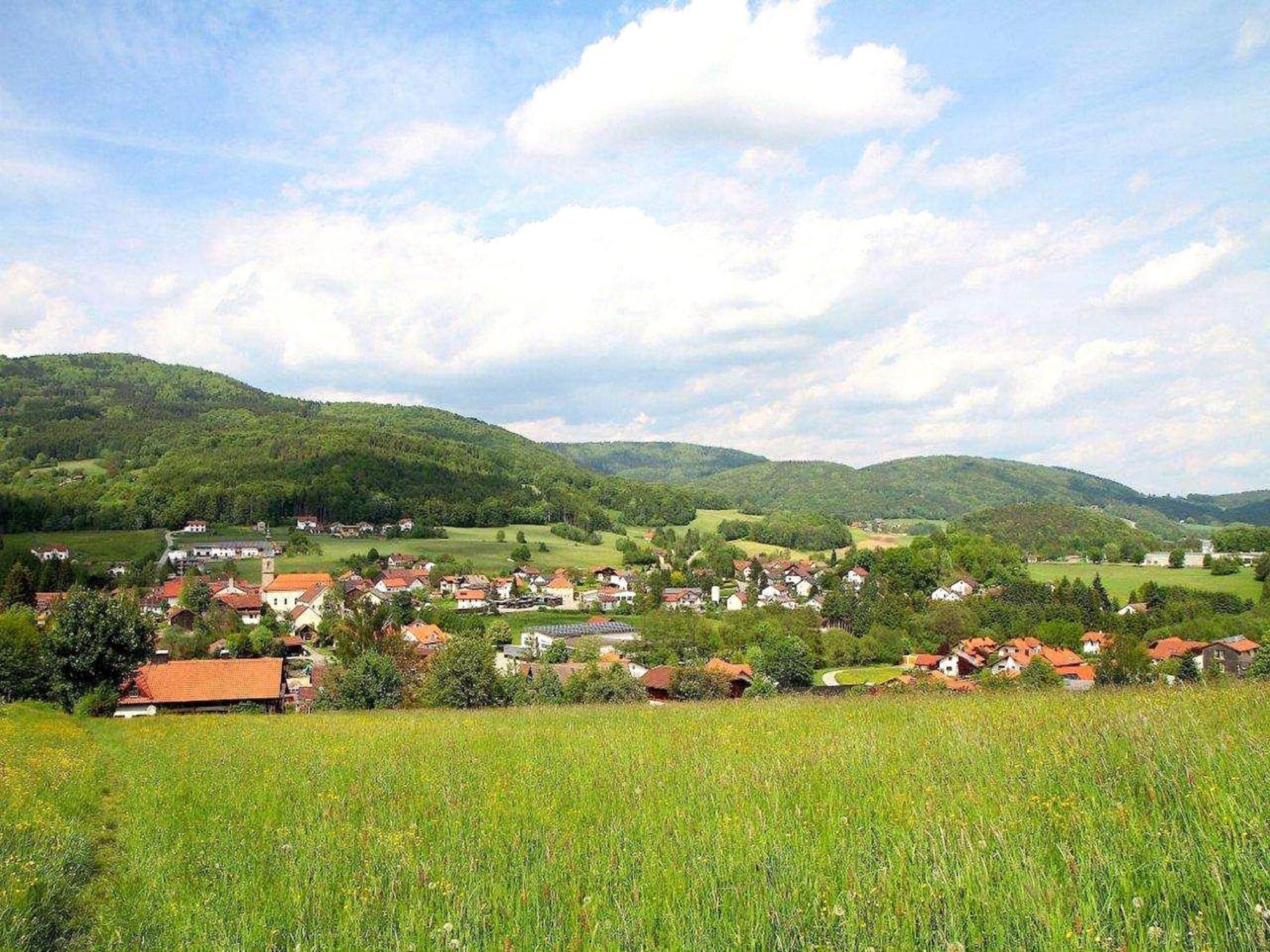 Comfortable Apartment In Zenting In Lower Bavaria Ngoại thất bức ảnh